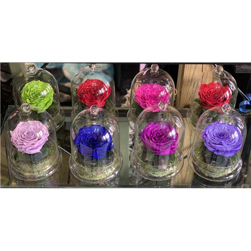 51EB2414-4A11-4791-80A0-592EDF86E55F